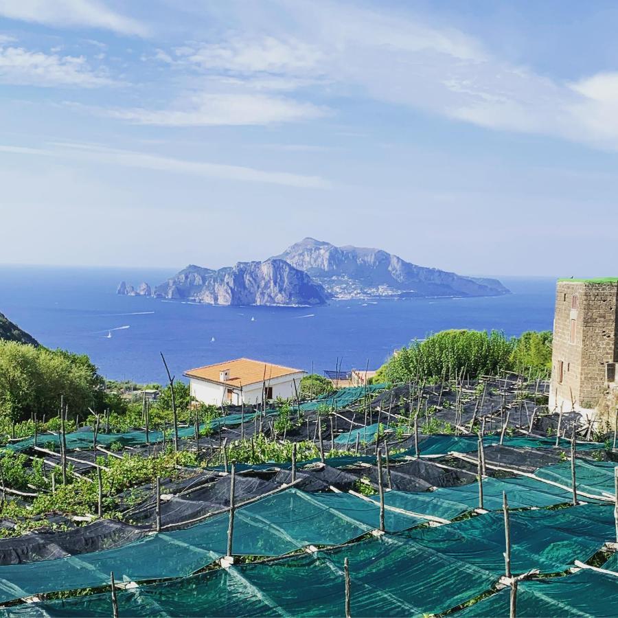 The Dream Villa Massa Lubrense Luaran gambar